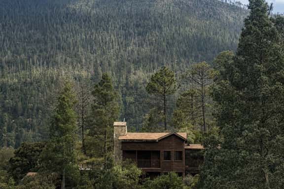 Mountain Cabin: Ski, Golf & Nature Activities - Image 1