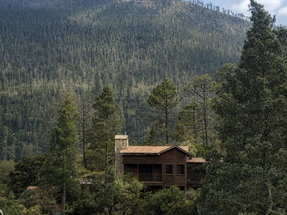Mountain Cabin: Ski, Golf & Nature Activities - Image 1