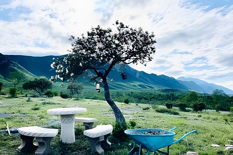 Hermosa Estancia Para Familia/10px