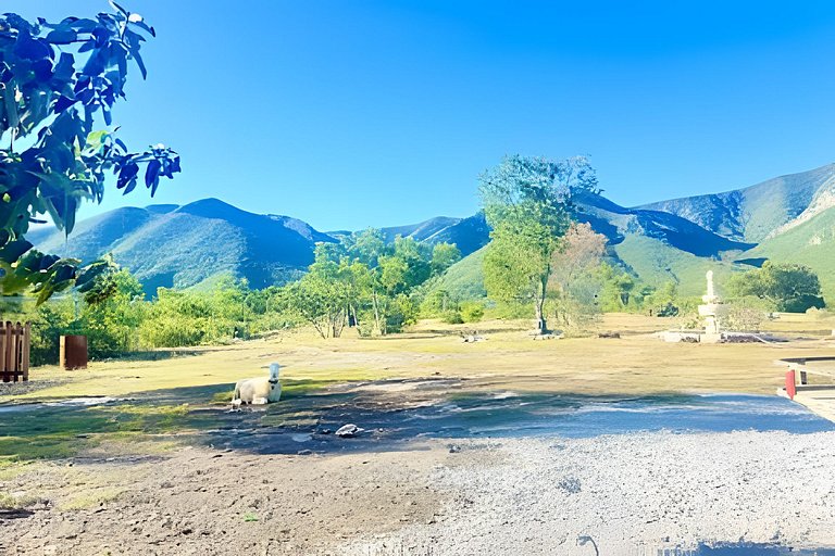 Hermosa Estancia Para Familia/10px