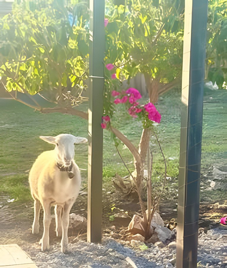 Hermosa Estancia Para Familia/10px