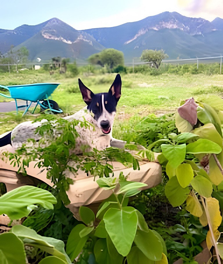 Hermosa Estancia Para Familia/10px