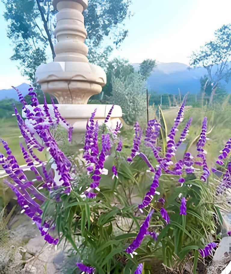 Hermosa Estancia Para Familia/10px