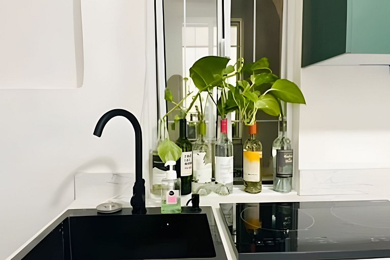 Depa en el cora de Mty a pasos de fundidora/8px/Ac